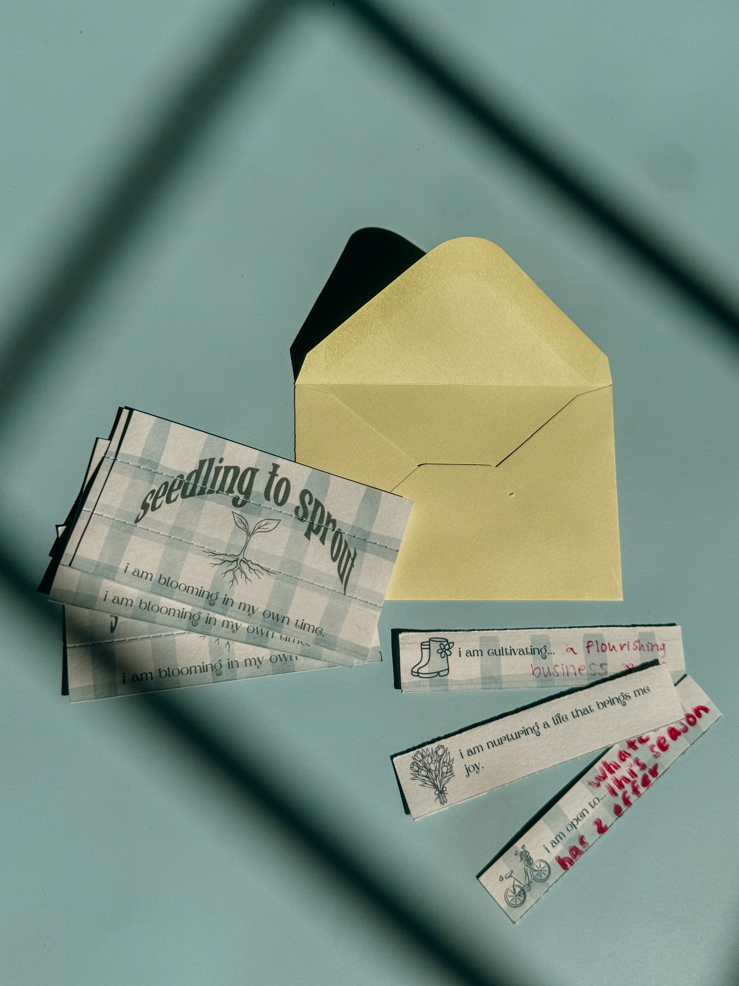 Seedling to Sprout: Spring edition