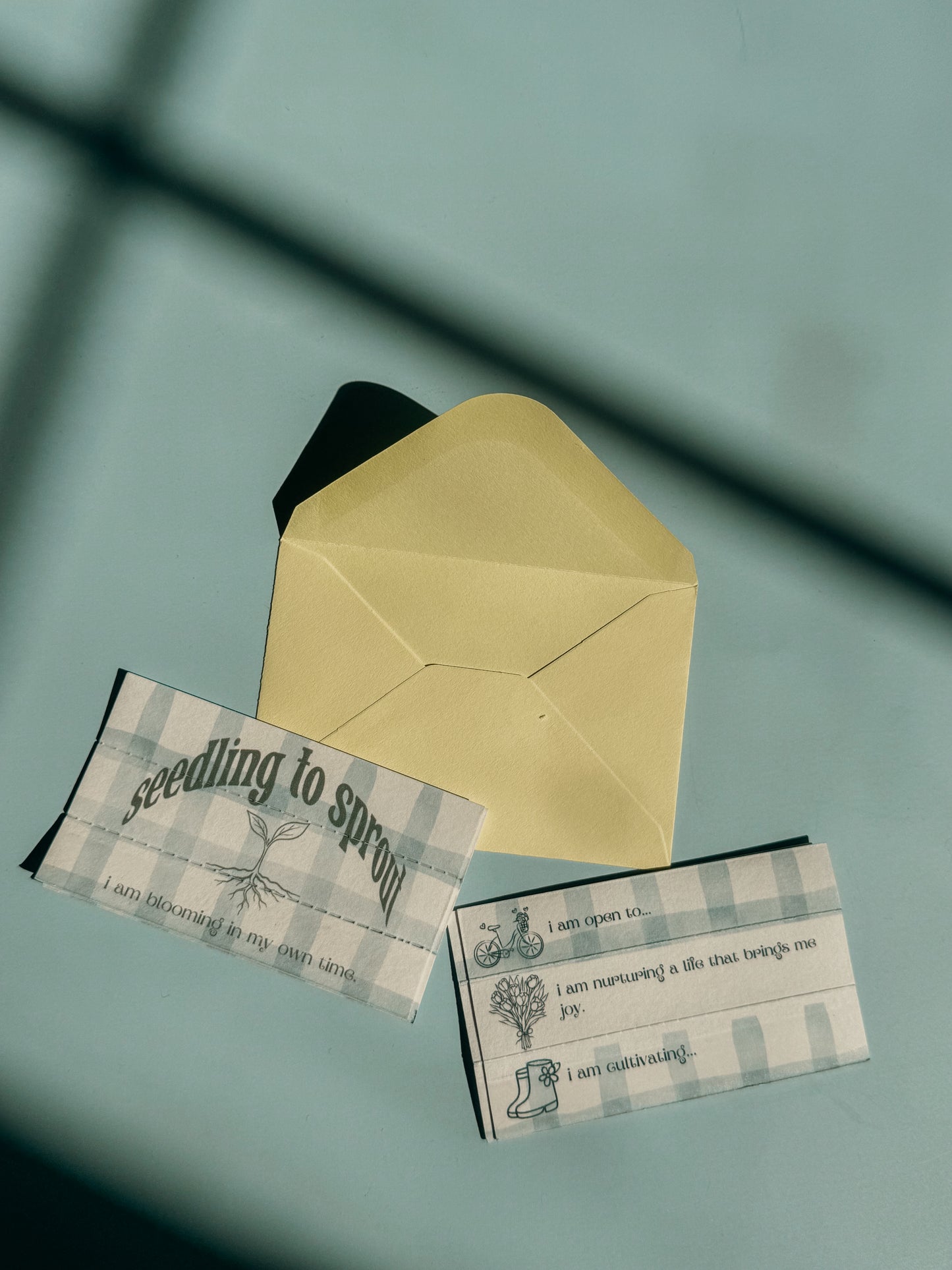 Seedling to Sprout: Spring edition