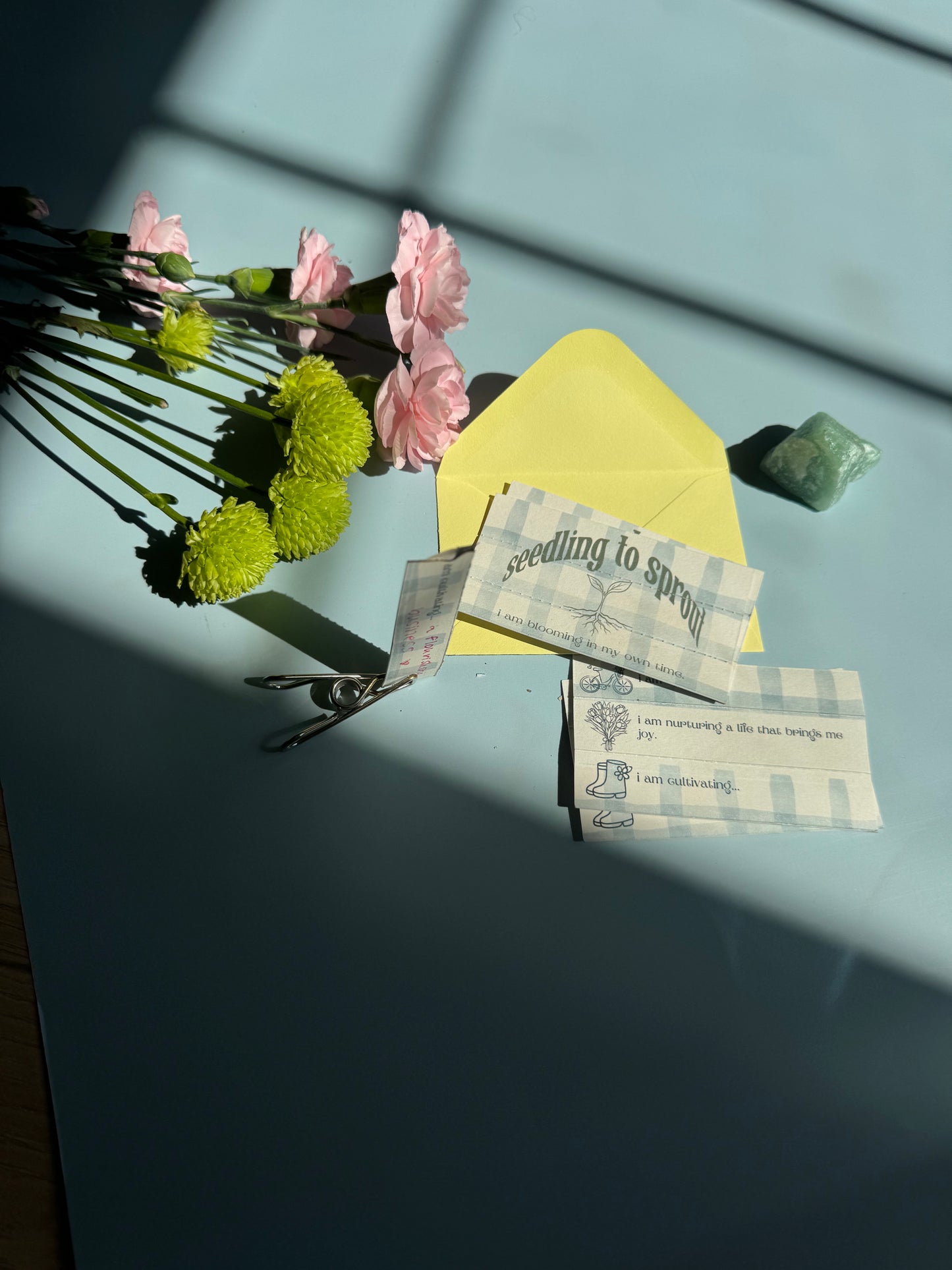 Seedling to Sprout: Spring edition